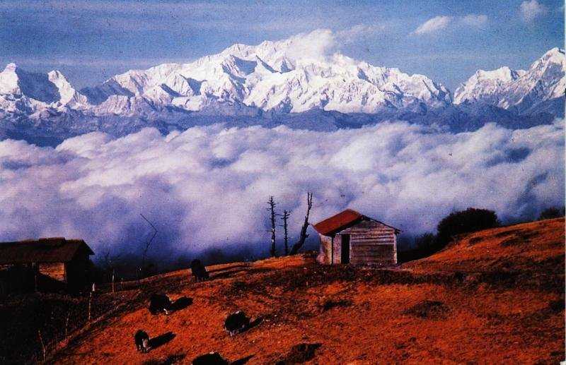 Sandakphu Trek - Darjeeling Image