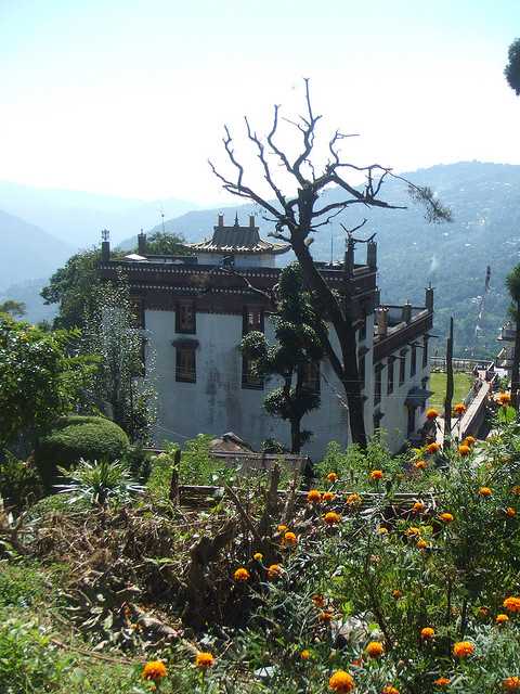 Thongsa Gompa - Kalimpong Image