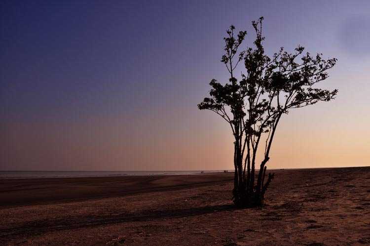 Henry's Island - Bakkhali Image