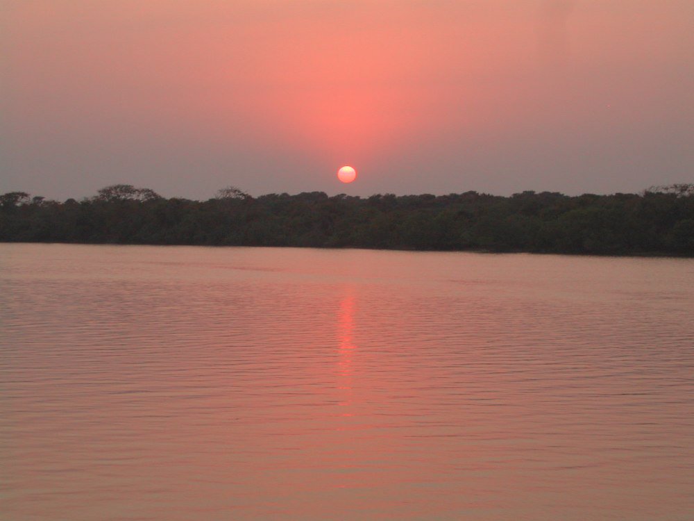 Bhitarkanika Wildlife Sanctuary - Cuttack Image