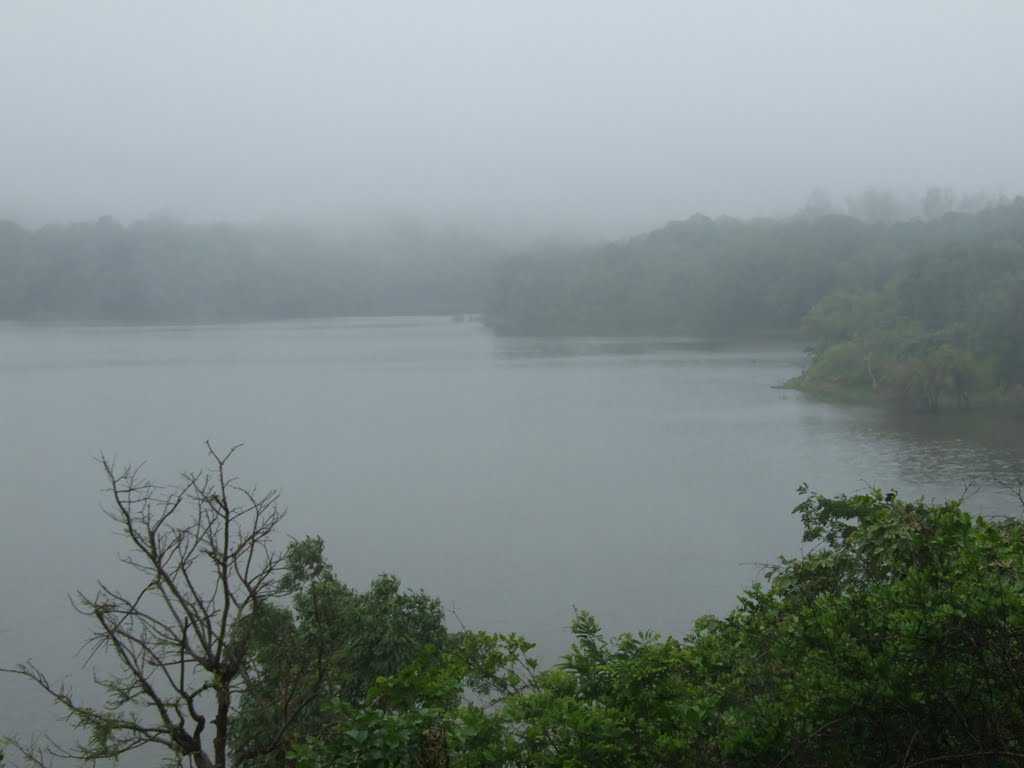 Yashavant Lake - Toranmal Image