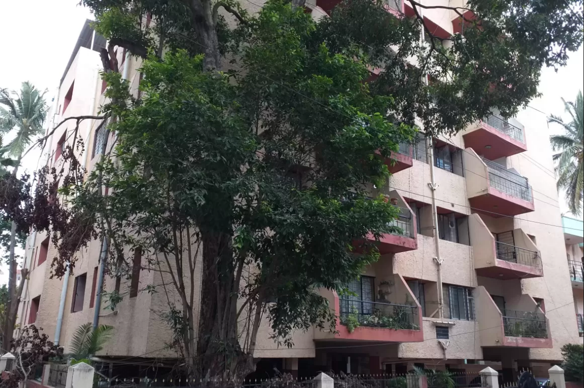 Tree House - Richmond Town - Bangalore Image