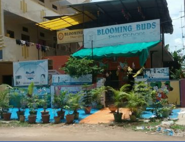 Blooming Buds The Digi School - Afzalgunj - Hyderabad Image