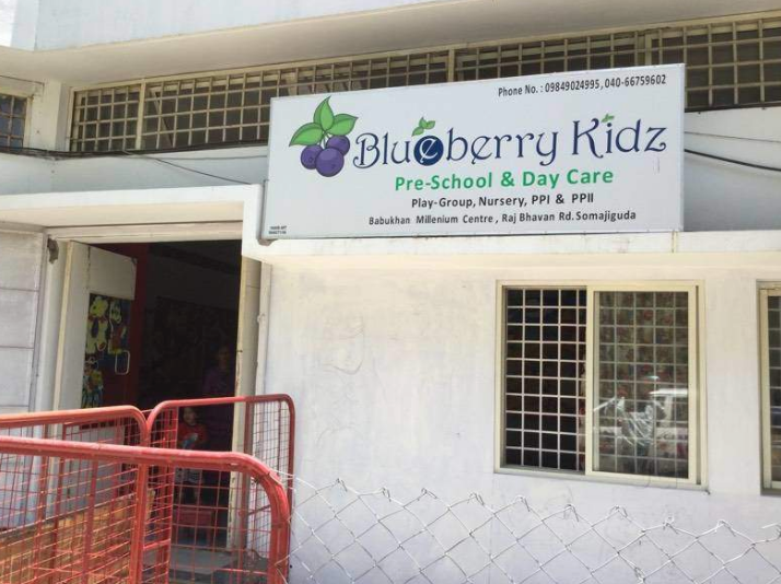 Blue Berry Kidz - Somajiguda - Hyderabad Image