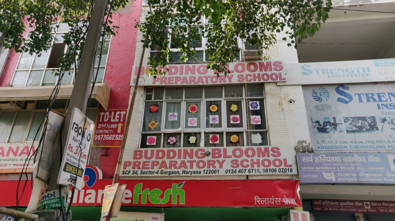 Budding Blooms Preparatory School - Sector 4 - Gurgaon Image