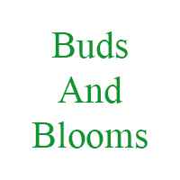 Buds And Blooms - Sector 5 - Gurgaon Image