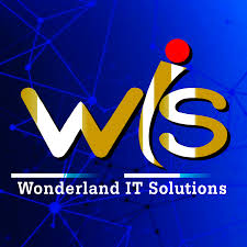 Wonderland IT Solutions - Noida Image