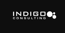 Indigo Systems & Technology Consulting Image