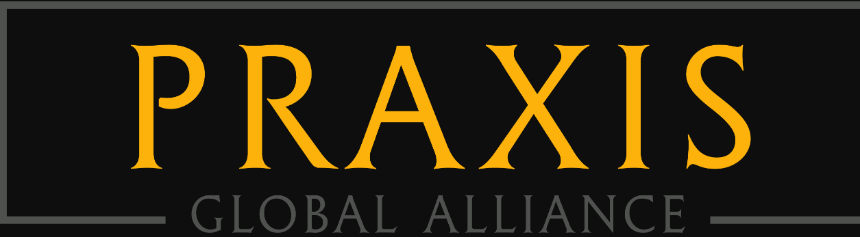 Praxis Global Alliance Image