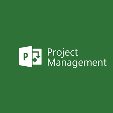 Microsoft PPM Image