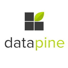 datapine Image