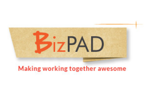 BizPAD Online Management System Image