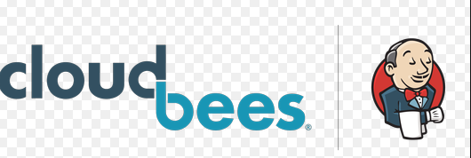 CloudBees DevOptics Image