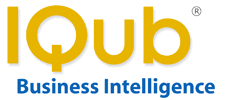 IQub Business Intelligence Reporting Solutions Image