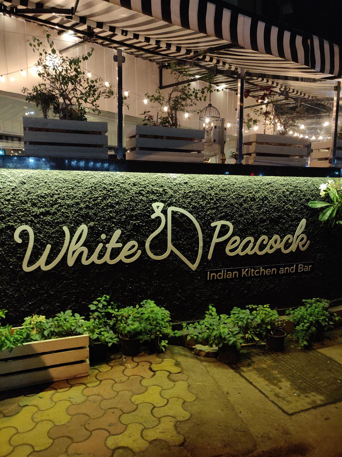 White Peacock - Khar - Mumbai Image