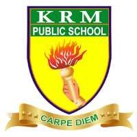 KRM Public School - Perambur - Chennai Image