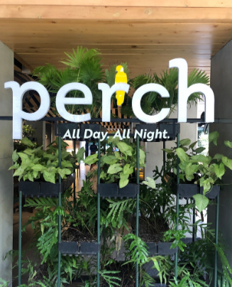 Perch All Day All Night - Shivaji Nagar - Pune Image