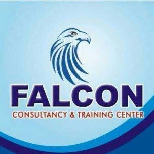 Falcon Consultancy & Training Center - New Malakpet - Hyderabad Image