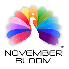 November Bloom Image