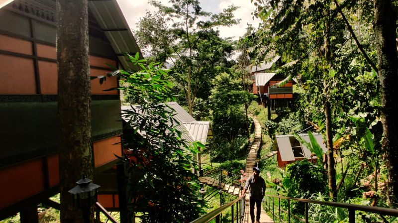 Himmelberg Nature Retreat - Munnar Image