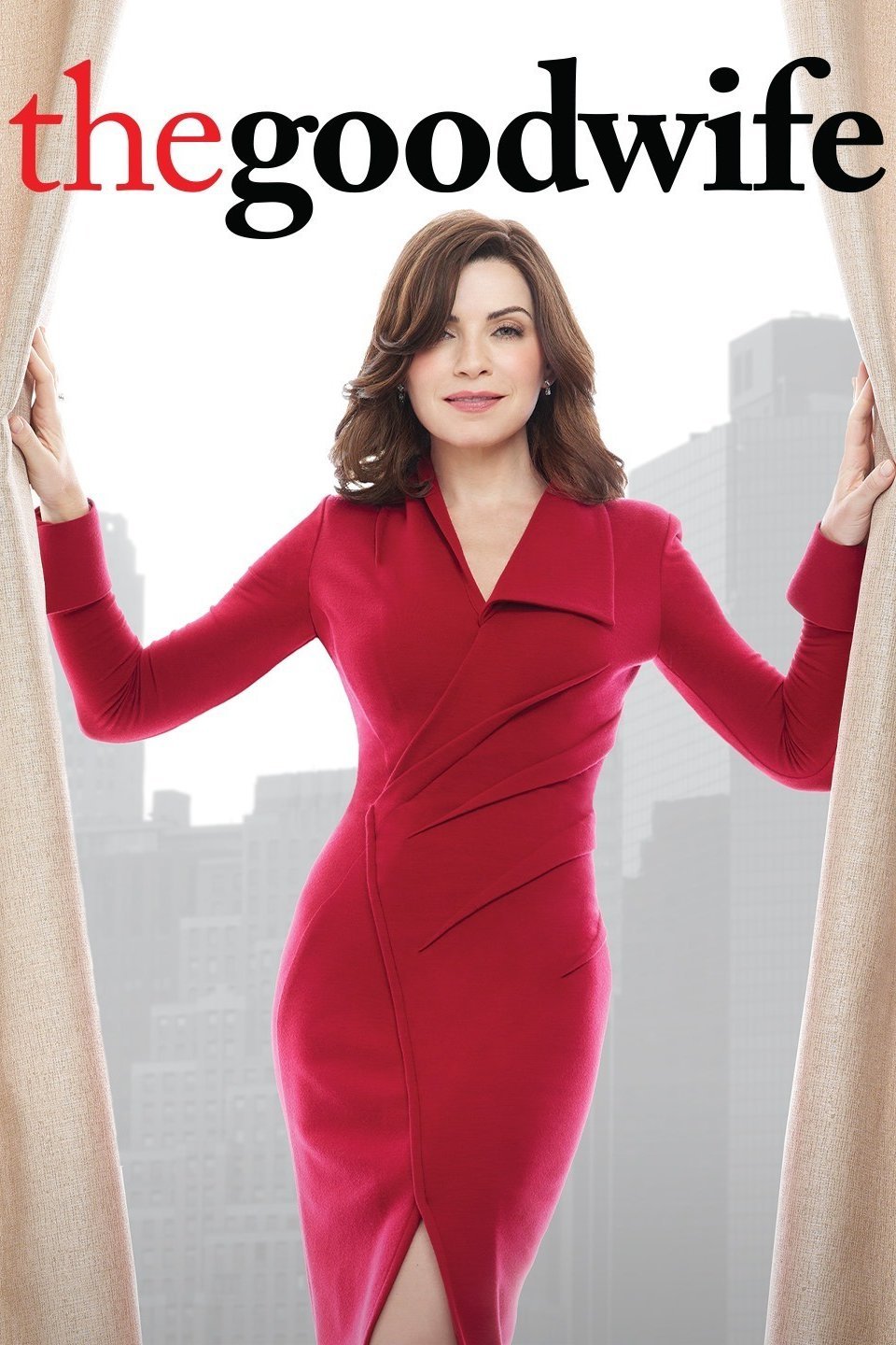 The Good Wife Image