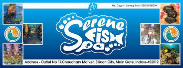 Serene Fish Spa - Silicon City - Indore Image