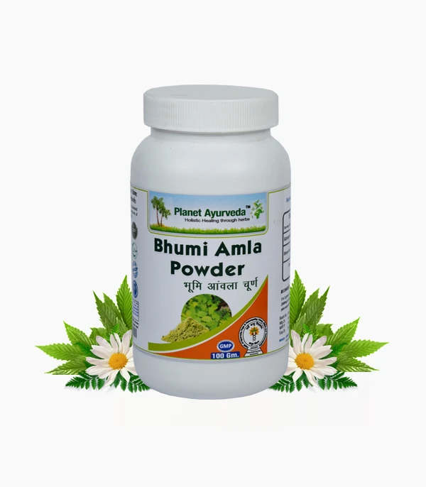 Planet Ayurveda Bhumi Amla Powder Image