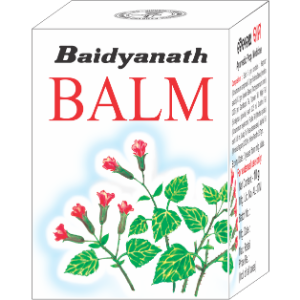 Baidyanath Balm Image