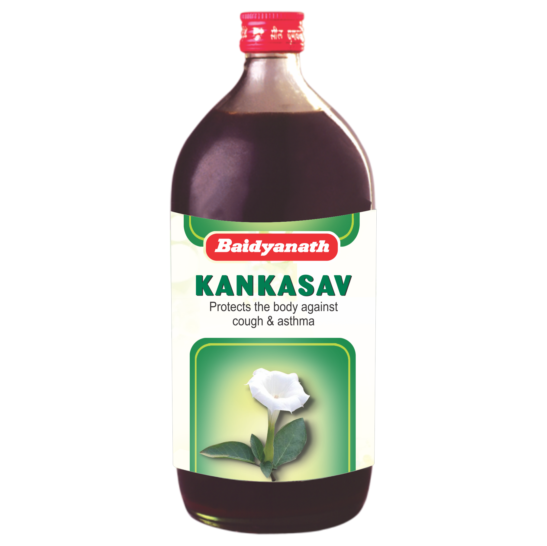 Baidyanath Kankasava Image