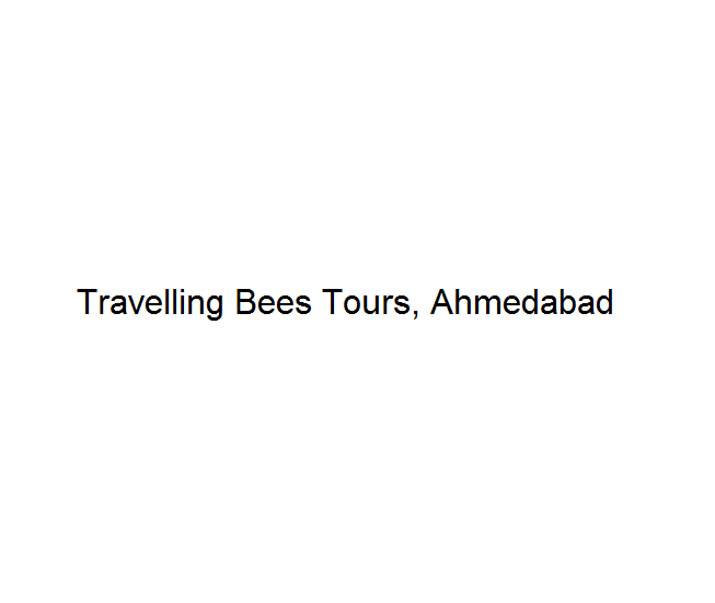 Travelling Bees Tours - Ahmedabad Image