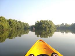 Goa Kayaking Tours - Goa Image