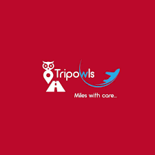 Tripowls Tour & Travels - Kolkata Image