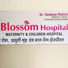 Blossom Maternity And Children Hospital - Vapi Image