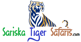 Sariska Tiger Safaris Tours - Alwar Image