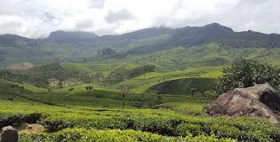 Munnar Rock Reservation & Tours - Kochi Image