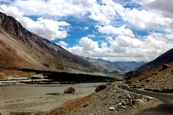 Partha Sarthi Tours - Ladakh Image