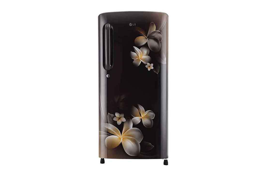 LG 190Ltr Direct Cool Refrigerator GLB201AHPY Image