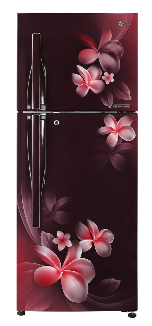 LG 260Ltr Frost Free Refrigerator GLT292RSPN Image