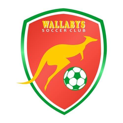 Wallabies Soccer Club (Inorbit Mall) - Malad West - Mumbai Image