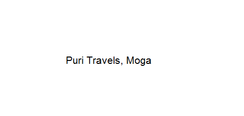 Puri Travels - Moga Image