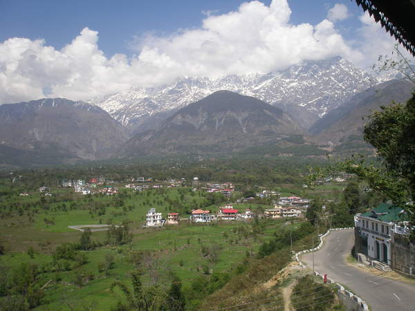 Organic Holidays Travels - Dharamshala Image