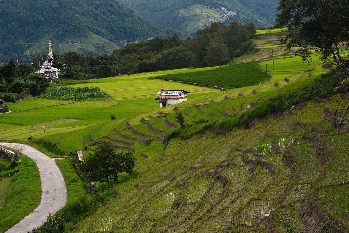 Green Valley - Naharlagun Image