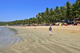 Trips And Tours - Goa Image