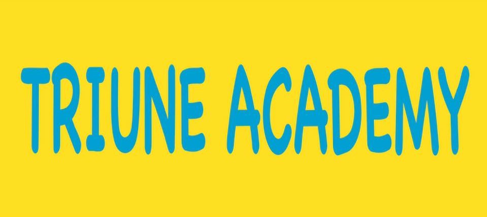 Triune Academy - Janakpuri - New Delhi Image