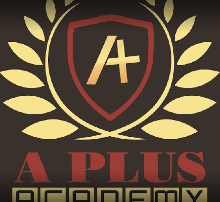 A Plus Academy - Malviya Nagar - New Delhi Image