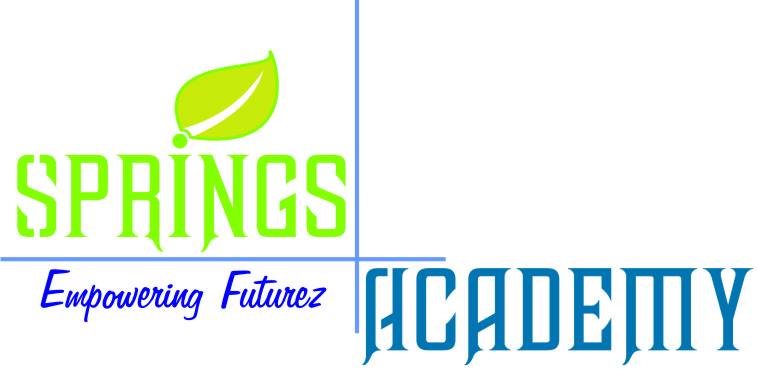 Springs Academy - Parle Point - Surat Image