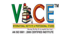 Vice International Institute & Professional Studies - Yamuna Vihar - Delhi Image