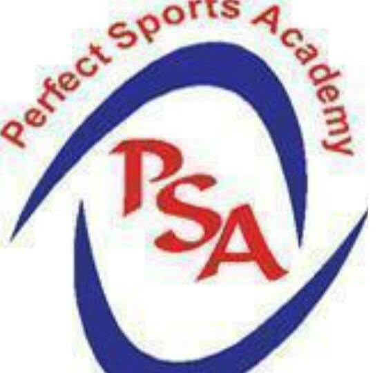 Perfect Sports Academy - Shahdara - Gurugram Image