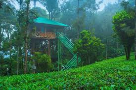 Kerala Leisure Holidays - Munnar Image