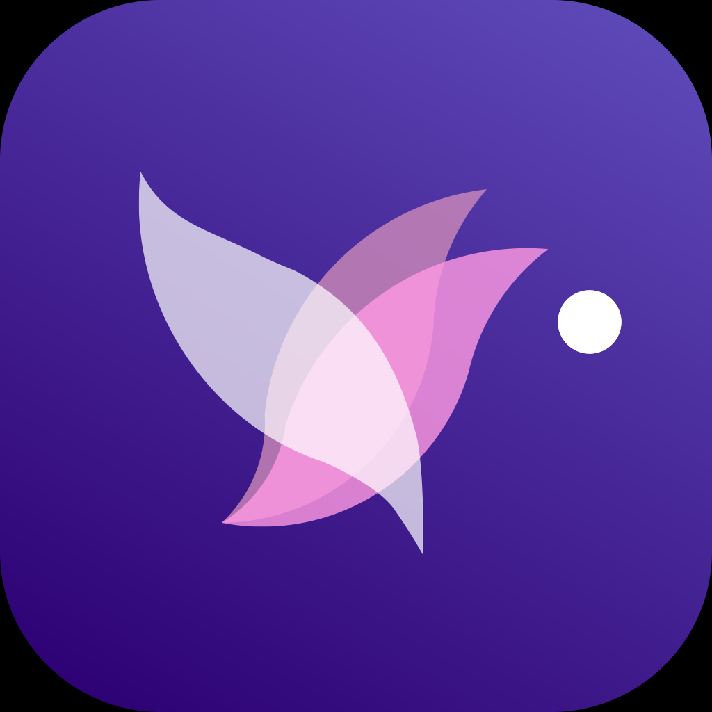 Skin Beauty Pal Image